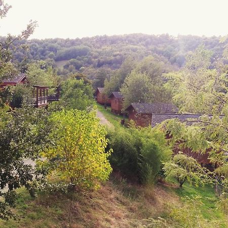 Willa La Ferme Du Duzou Saint-Cyprien-sur-Dourdou Zewnętrze zdjęcie