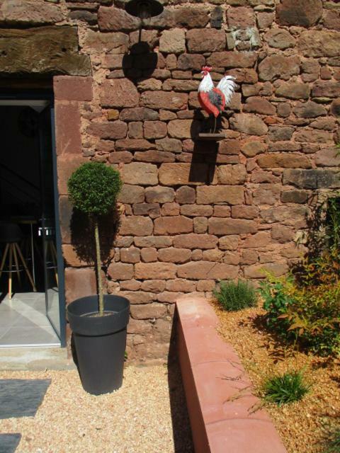 Willa La Ferme Du Duzou Saint-Cyprien-sur-Dourdou Zewnętrze zdjęcie